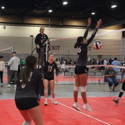 Redlands Renegade Volleyball Club - Fellow Renegade Family Members