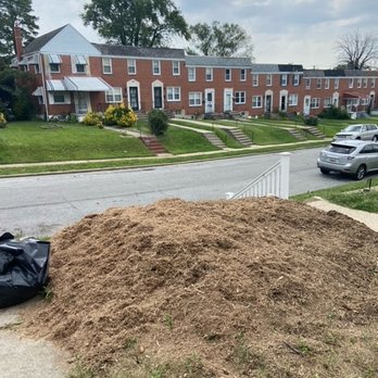 USA Tree Services - Tree Services Near Me - Linthicum Heights, Maryland