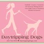 Photo of Daytripping Dogs