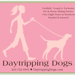Daytripping Dogs