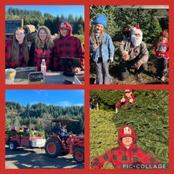 Mitchell Christmas Tree Farm