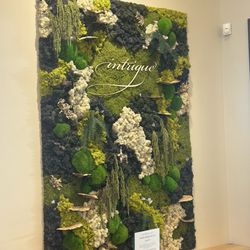 Intrigue Wines - Signage
