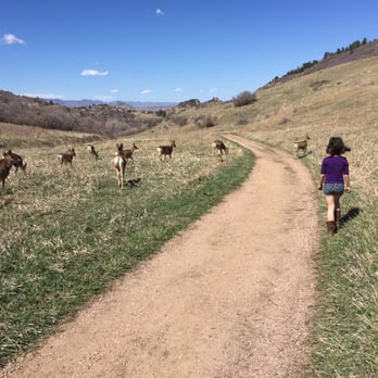Roxborough State Park - Deer walking alongside us on our hike! - Parks Near Me - Littleton, Colorado Roxborough State Park - Deer walking alongside us on our hike! - Parks Near Me - Littleton, Colorado