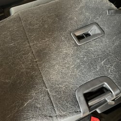 Merry Detailing - Dog hair