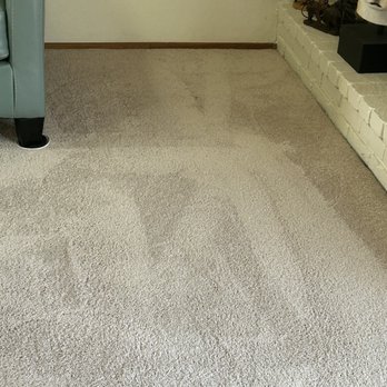 Benicia Carpet Cleaning - After, Molly's bed area. - Carpet Cleaning Near Me - Benicia, California