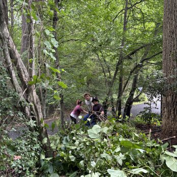 Duck Brigade - Tree Services Near Me - Mechanicsville, Maryland Duck Brigade - Tree Services Near Me - Mechanicsville, Maryland