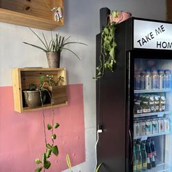 Treehouse Coffee Shop - Ambiance