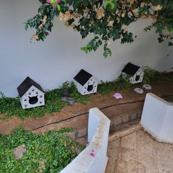 KoruMar Hotel - Hotels Near Me - Kuşadası, 09