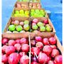 Photo of Lexington Virginia Farmer's Market