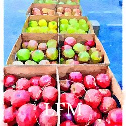 Lexington Virginia Farmer's Market