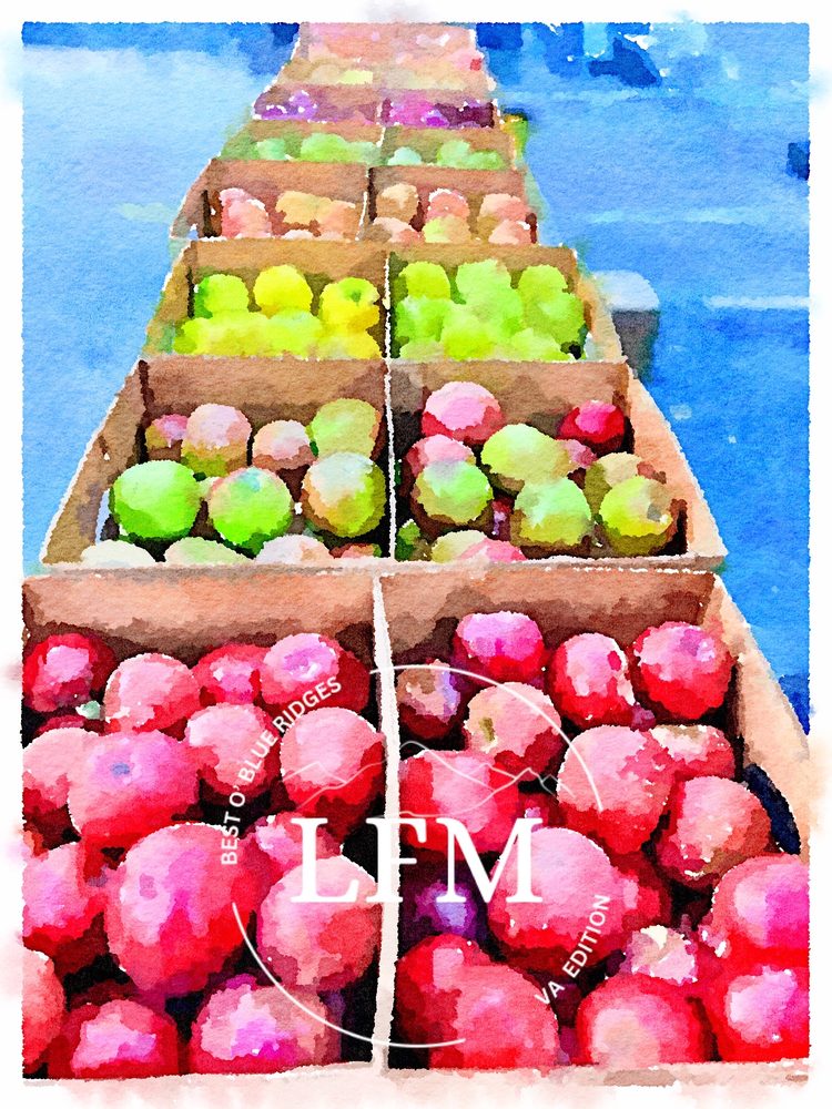 Food from Lexington Virginia Farmer's Market