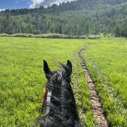 Teton Village Trail Rides