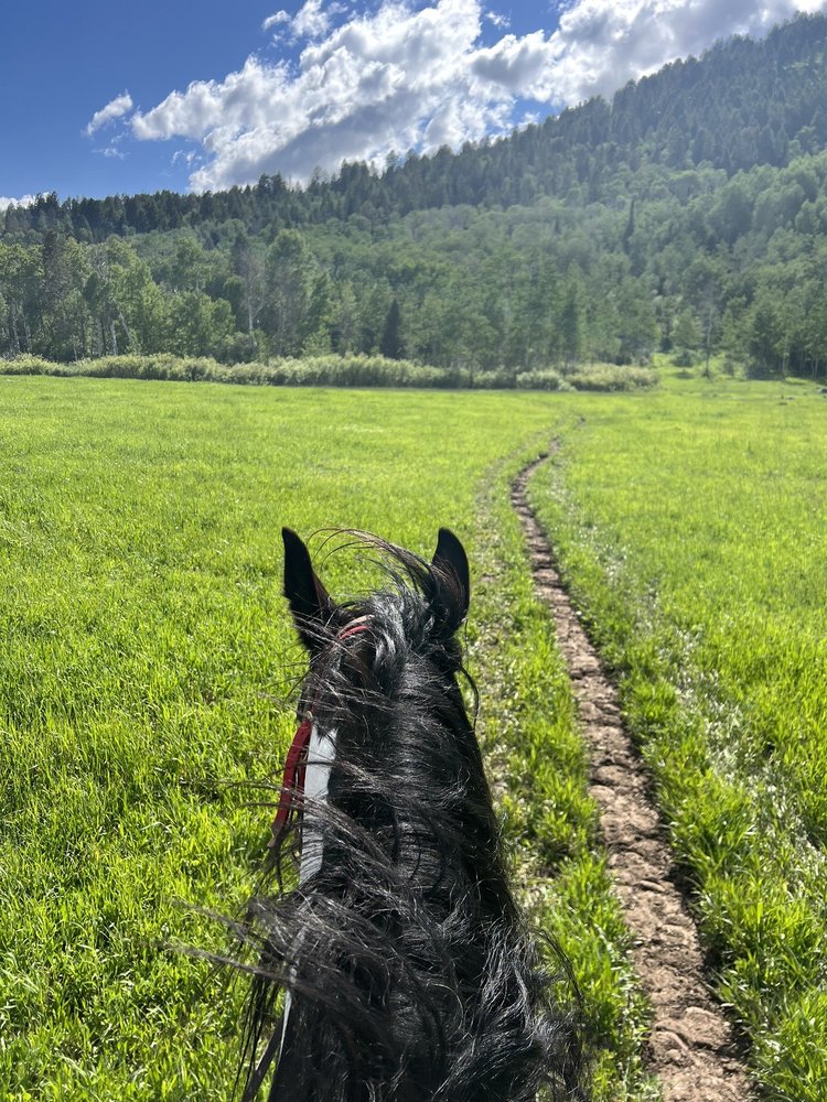 Teton Village Trail Rides Logo