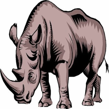 White Rhino - Painters Near Me White Rhino - Painters Near Me