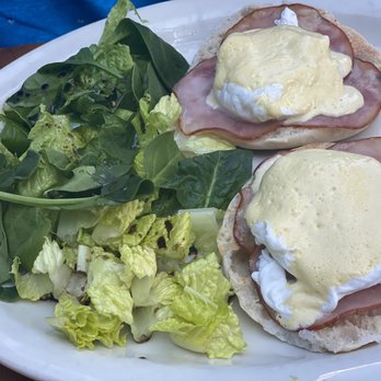 Green Zebra Cafe - Main Benedict. - Juice Bars & Smoothies Near Me - Sarasota, Florida Green Zebra Cafe - Main Benedict. - Juice Bars & Smoothies Near Me - Sarasota, Florida