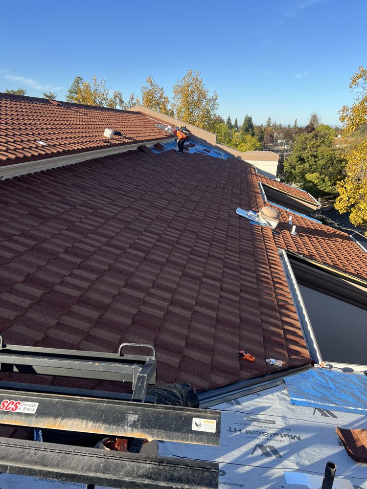 Slide of Israel Professional Roofer