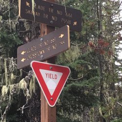 Glade Trail 601 - Busy intersection much?
