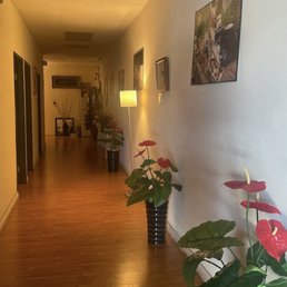 Hallway prior to massage rooms