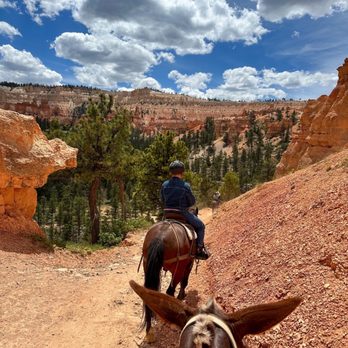 Canyon Trail Rides - Horseback Riding Near Me - Tropic, Utah Canyon Trail Rides - Horseback Riding Near Me - Tropic, Utah