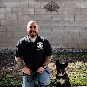 Restored k-9 Academy - Today, beautiful Lady graduated! She did so well. I wish her and her owner all the happiness in the world. - Pet Training Near Me Restored k-9 Academy - Today, beautiful Lady graduated! She did so well. I wish her and her owner all the happiness in the world. - Pet Training Near Me