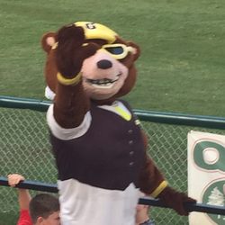 Gastonia Grizzlies