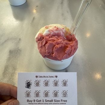 Yume Gelato - Gelato Near Me - Sacramento, California