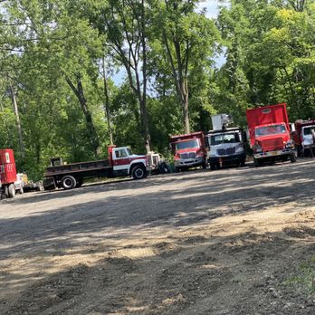United Tree Services - Tree Services Near Me - Indianapolis, Indiana United Tree Services - Tree Services Near Me - Indianapolis, Indiana