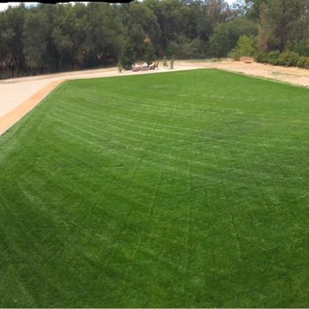 Primavera Landscape - Backyard - General Contractors Near Me Primavera Landscape - Backyard - General Contractors Near Me