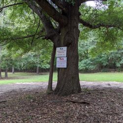 Magnolia Street Park