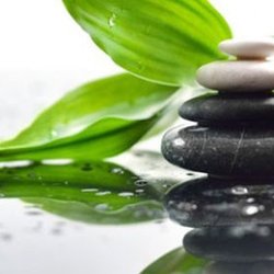 Massage Therapy Center
