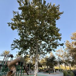 Lake Forest Sports Park