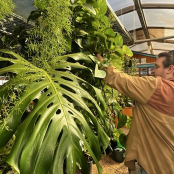 Jericho Nursery - Nurseries & Gardening Near Me - Albuquerque, New Mexico
