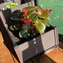 Dwayne O'Dell Landscape & Nursery
