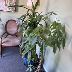 Moon Massage Spa Glendale