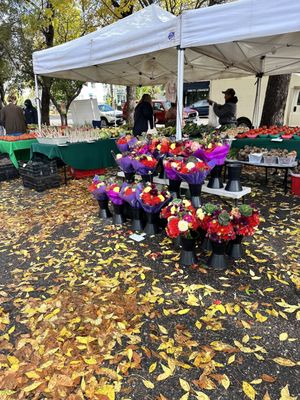 Northeast Minneapolis Farmers Market by null