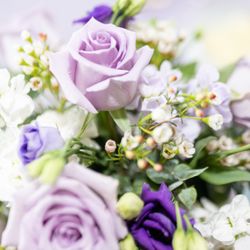 Malone Flower Shop