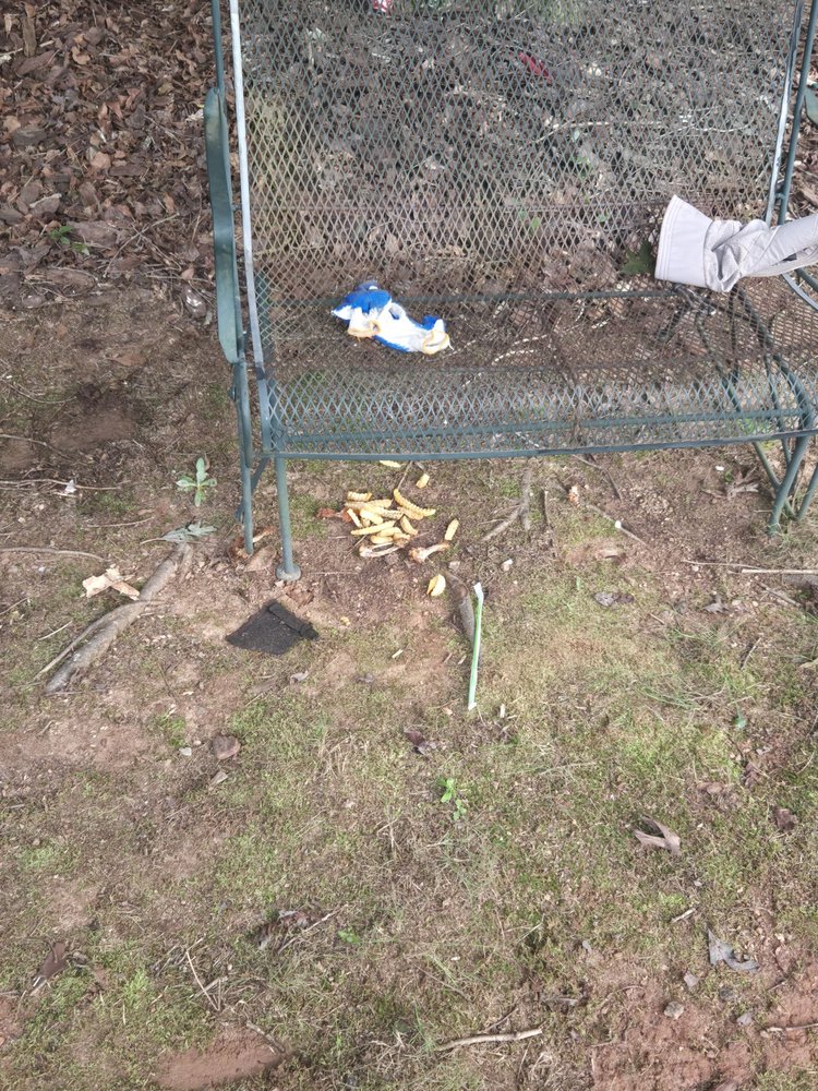 Slide of Top Pitch Storm & Disaster Services