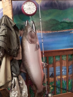 Bear and Raven Adventure Theater by null