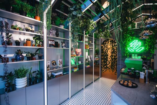 Greenhouse Café at Seed Brklyn by null