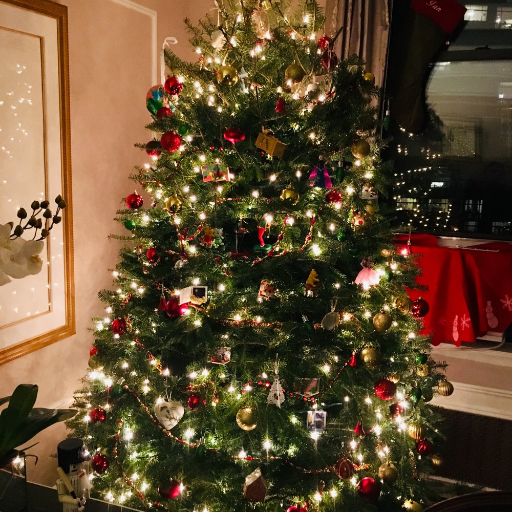 NYC Trees - Christmas Trees Near Me - New York, New York NYC Trees - Christmas Trees Near Me - New York, New York