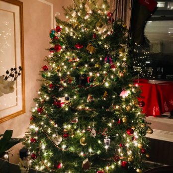 NYC Trees - Christmas Trees Near Me - New York, New York NYC Trees - Christmas Trees Near Me - New York, New York