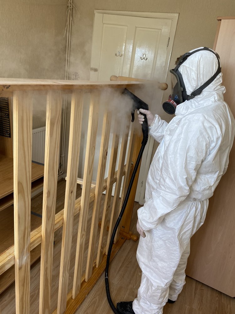 BEST PEST CONTROL near 17 rossiter wood court, Bristol, United Kingdom 31 Photos Pest