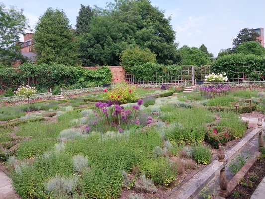 Shakespeare's New Place by null