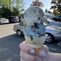 Island Cool Ice Cream - Cookie Monster Smores @dangit.all