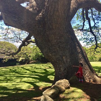 Moanalua Gardens - Parks Near Me - Honolulu, Hawaii Moanalua Gardens - Parks Near Me - Honolulu, Hawaii