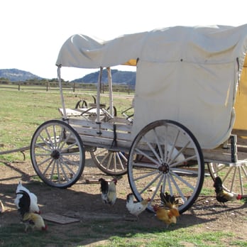 Zion Mountain Ranch - Right outside the Grill - Guest Houses Near Me - Mount Carmel, Utah Zion Mountain Ranch - Right outside the Grill - Guest Houses Near Me - Mount Carmel, Utah