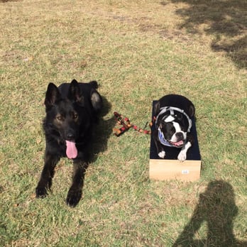 Bay Area K9 Training - Pet Training Near Me Bay Area K9 Training - Pet Training Near Me