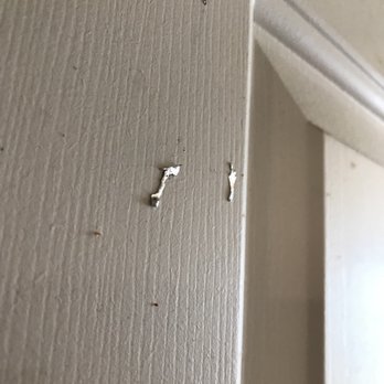Repipe Specialists -  Bay Area - Plumbing Near Me