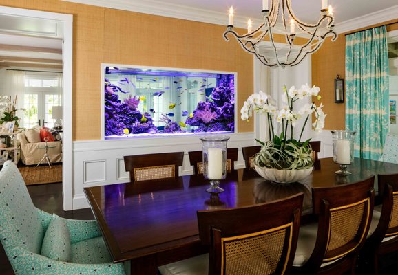 Jellyfish Art by null