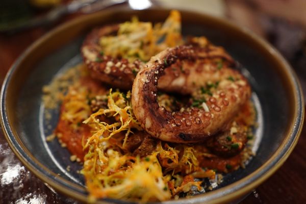 The Sur House by null